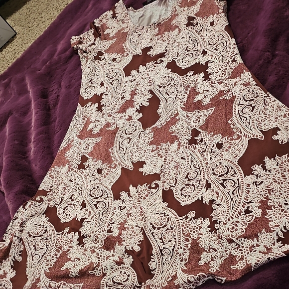 Elegant Brown and White Lace Dress - Picture 2 of 6